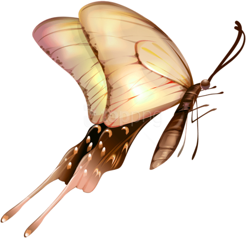 Free Png Images - Butterfly Transparent Clipart (850x816), Png Download