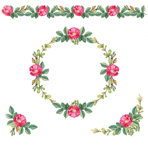 Espero Que Gostem, Se Pegou Deixem Um Comentario E - Vintage Corona De Flores Clipart (626x626), Png Download