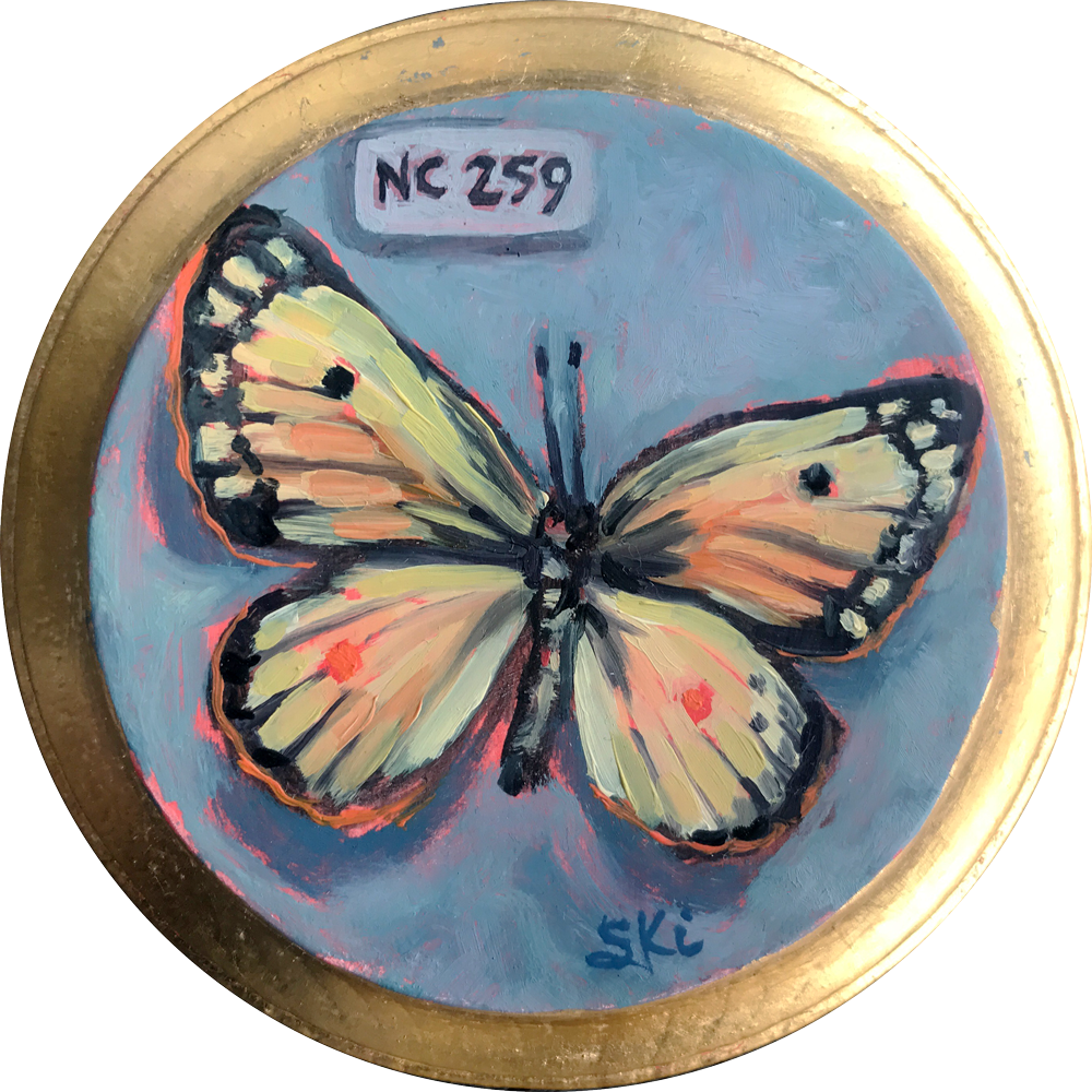 Nc 259 Butterfly - Brush-footed Butterfly Clipart (1000x1000), Png Download