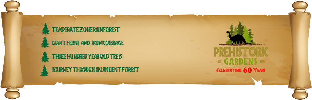 Rainforest - Rhinoceros Clipart (1020x361), Png Download