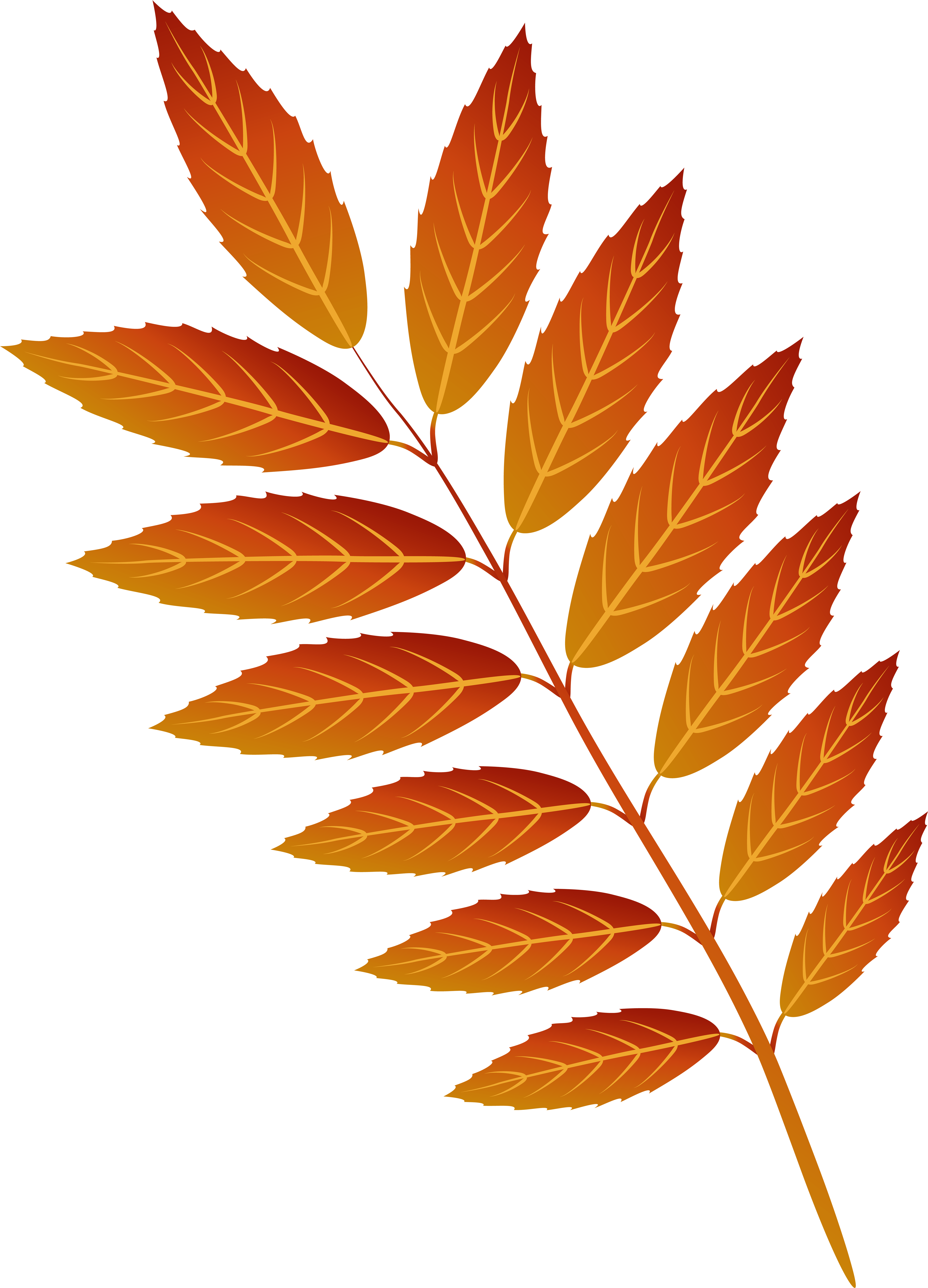 Orange Autumn Leaf Png Clip Art Image - Smooth Sumac Transparent Png (5765x8000), Png Download