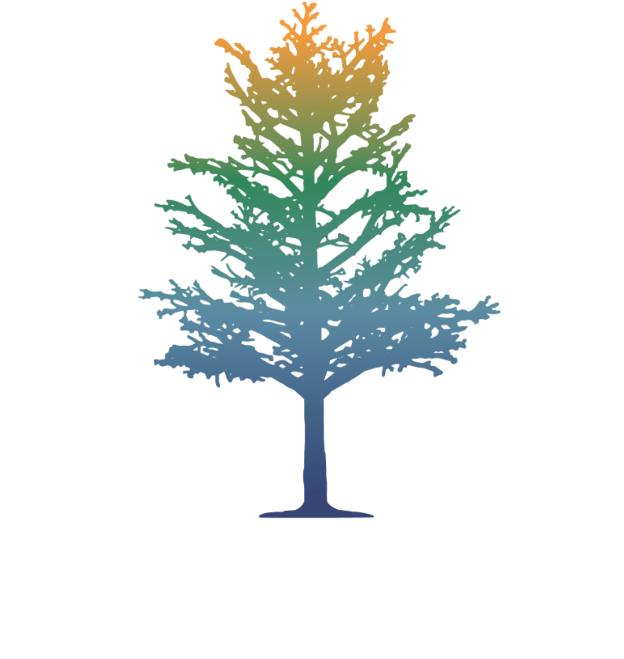 Fir Clipart (1226x1294), Png Download