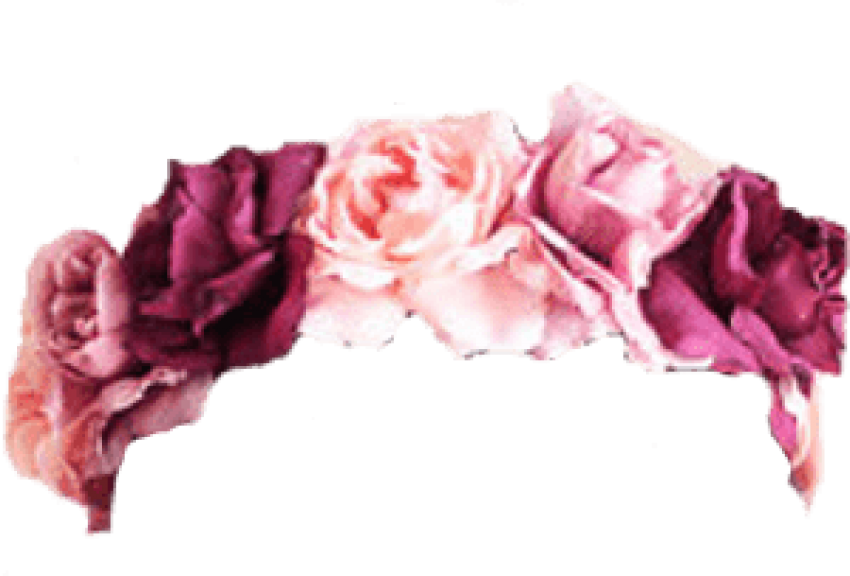 Free Png Download Tumblr Transparent Flower Crown Png - Pink Flower Crown Transparent Clipart (850x576), Png Download