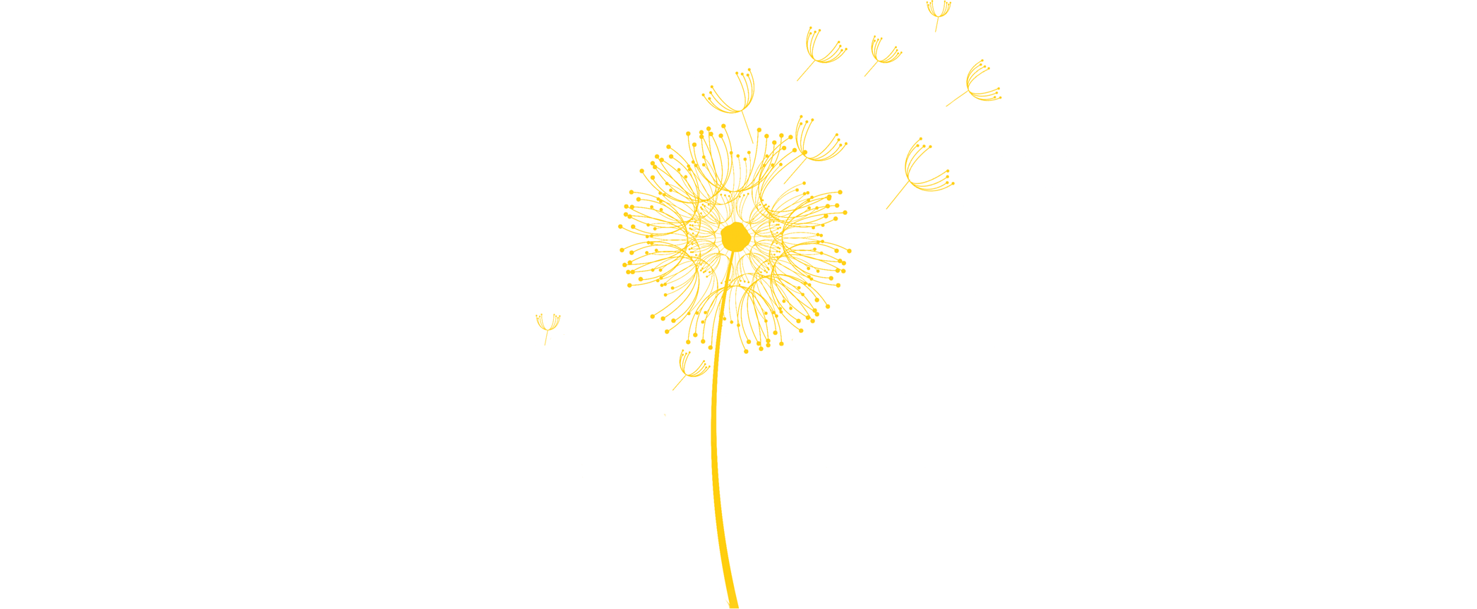 2093 X 864 7 - Dandelion Transparent Png Clipart (2093x864), Png Download