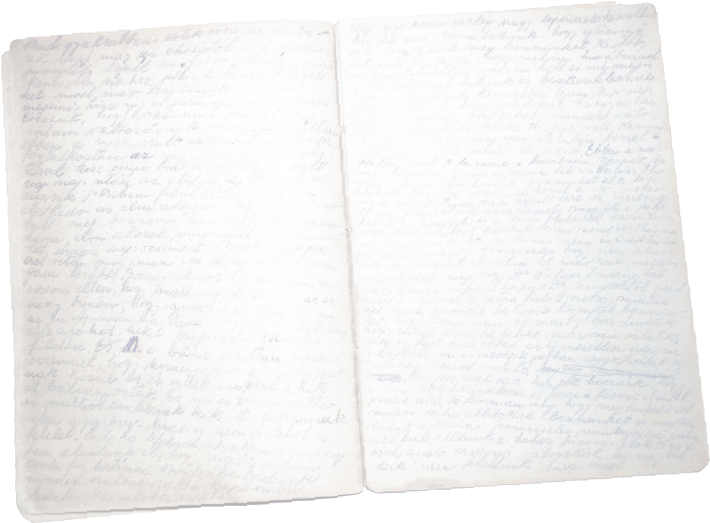 A Page From Júlia Bauer's Journal Written In Auschwitz, - Book Clipart (717x527), Png Download