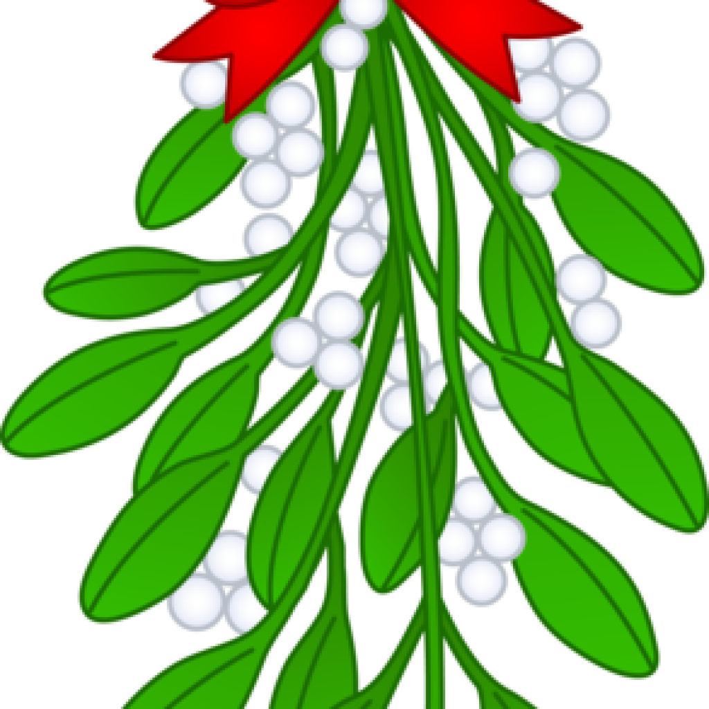 Free Mistletoe Clipart Christmas Mistletoe With Red - Hanging Mistletoe Transparent Background - Png Download (1024x1024), Png Download