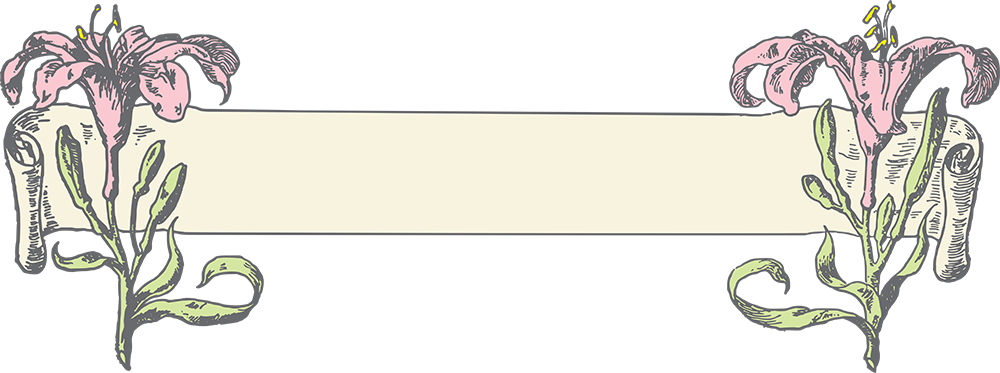 Colored Jpeg - Engagement Ring Clipart (1000x373), Png Download