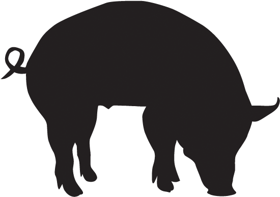 Visiting The Farm - Pig Head Silhouette Clip Art - Png Download (600x600), Png Download