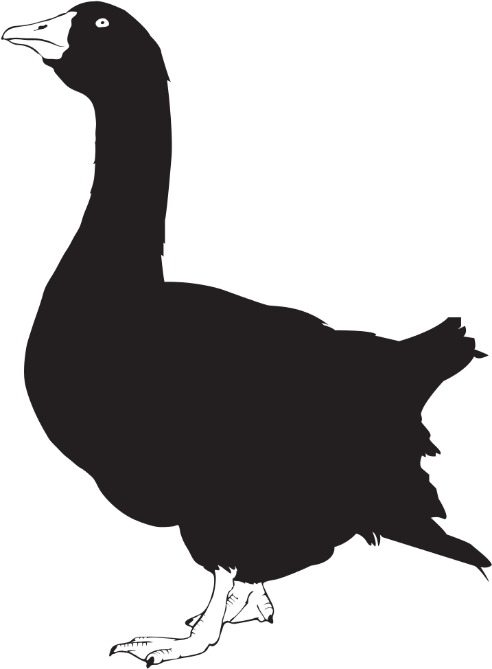 Goose Silhouette - Goose Silhouette Png Clipart (804x1023), Png Download