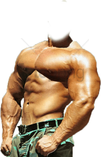 Free Png Download Bodybuilder Png Images Background - Bodybuilding Body Png Clipart (480x672), Png Download