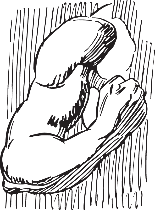 Line Art Clipart (648x873), Png Download