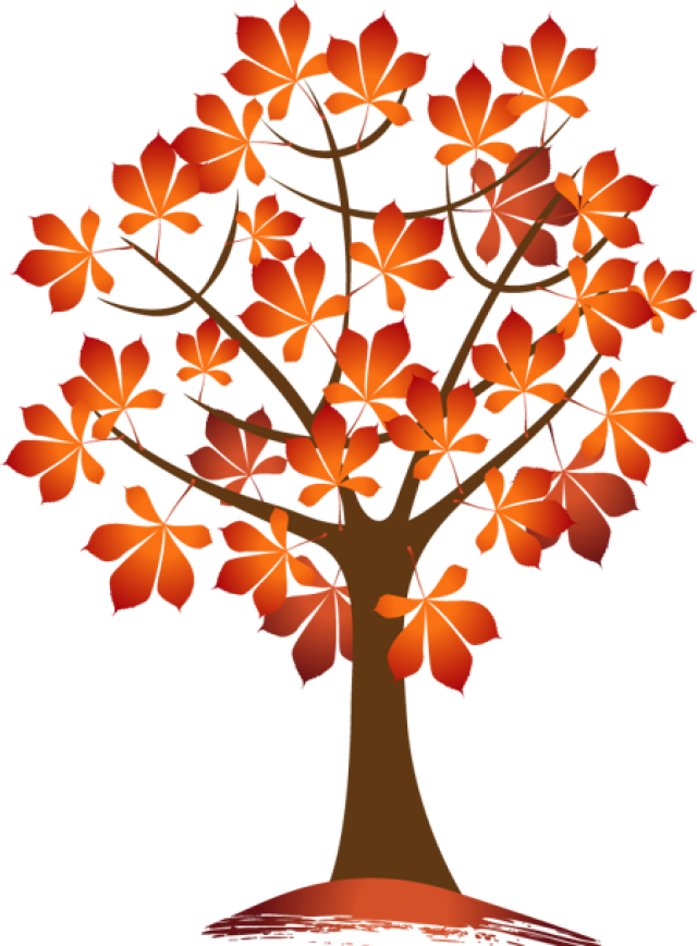 Oak Tree Silhouette Clip Art - Cute Fall Tree Clipart - Png Download (640x868), Png Download