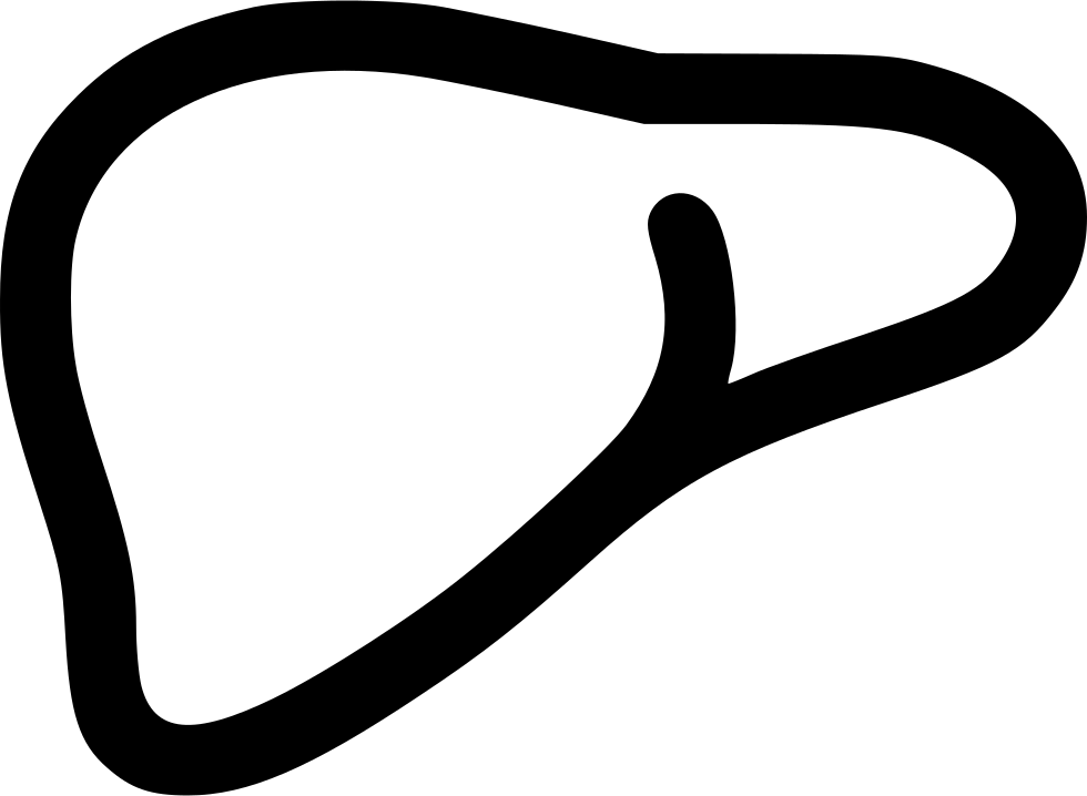 Png File Svg - Liver Svg Clipart (980x718), Png Download