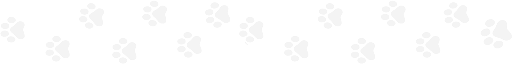 1754 X 417 12 - White Paw Prints Png Clipart (1754x417), Png Download
