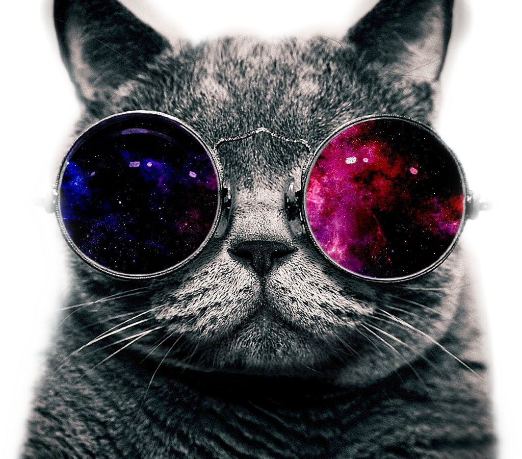 Coolcat Sticker - Mlg Cat With Glasses Clipart (1024x900), Png Download
