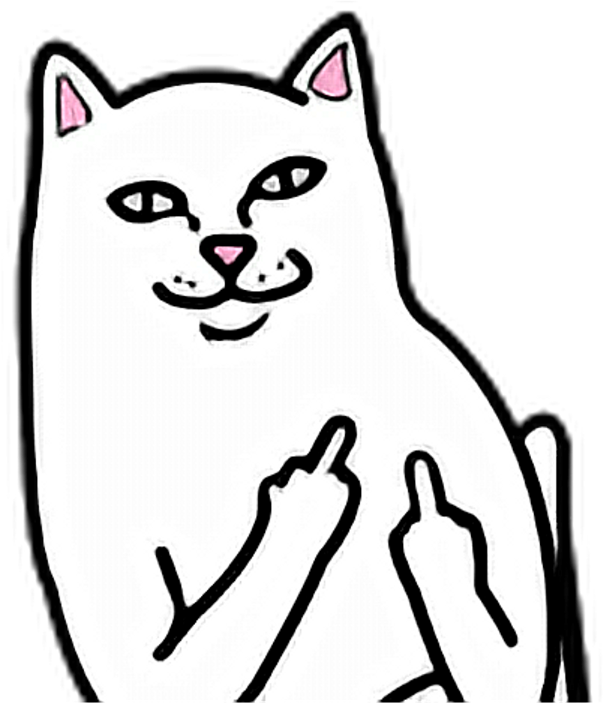 #cat #fuck #you #fuckyou # - Middle Finger Cat Png Clipart (1024x1007), Png Download