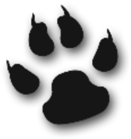 Paw Clipart Animal - Cat Paw Image Transparent - Png Download (600x523), Png Download