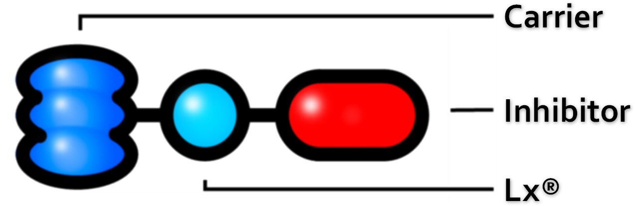 Linxis Liver Products, Termed Lxl 001, 002 And 003, - Circle Clipart (1740x517), Png Download