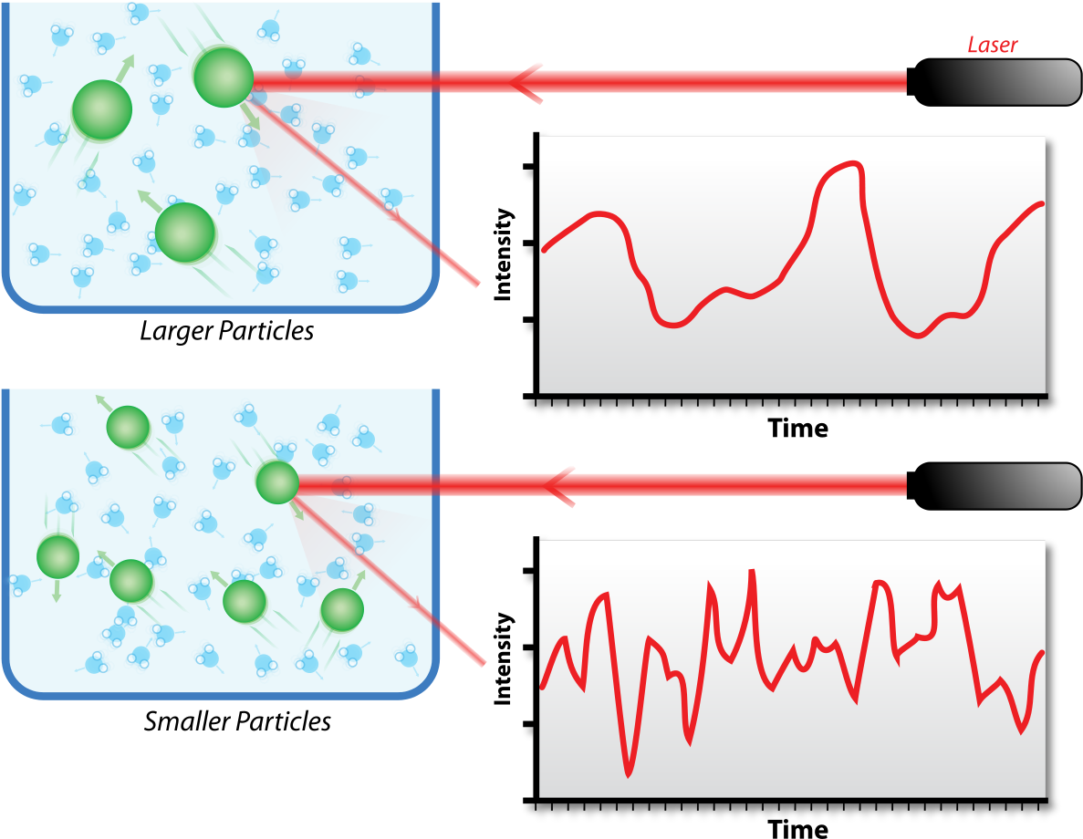 Dynamic Light Scattering Clipart (1200x954), Png Download