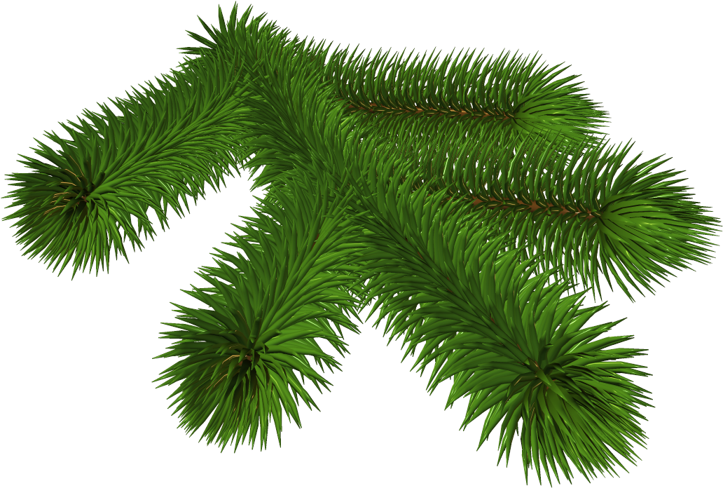 Transparent Pine Branch 3d Clipart - Christmas Branch Transparent - Png Download (1057x723), Png Download