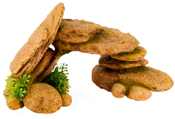 Photo Logs - Biscotti Clipart (600x600), Png Download