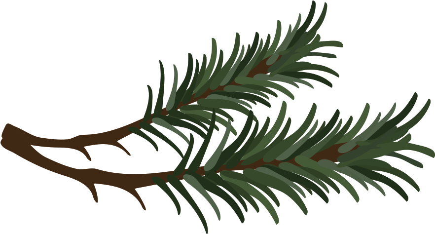 Vector Free Stock Buncee This Is A Sticker Of Needles - Pine Needle Clipart - Png Download (1000x473), Png Download