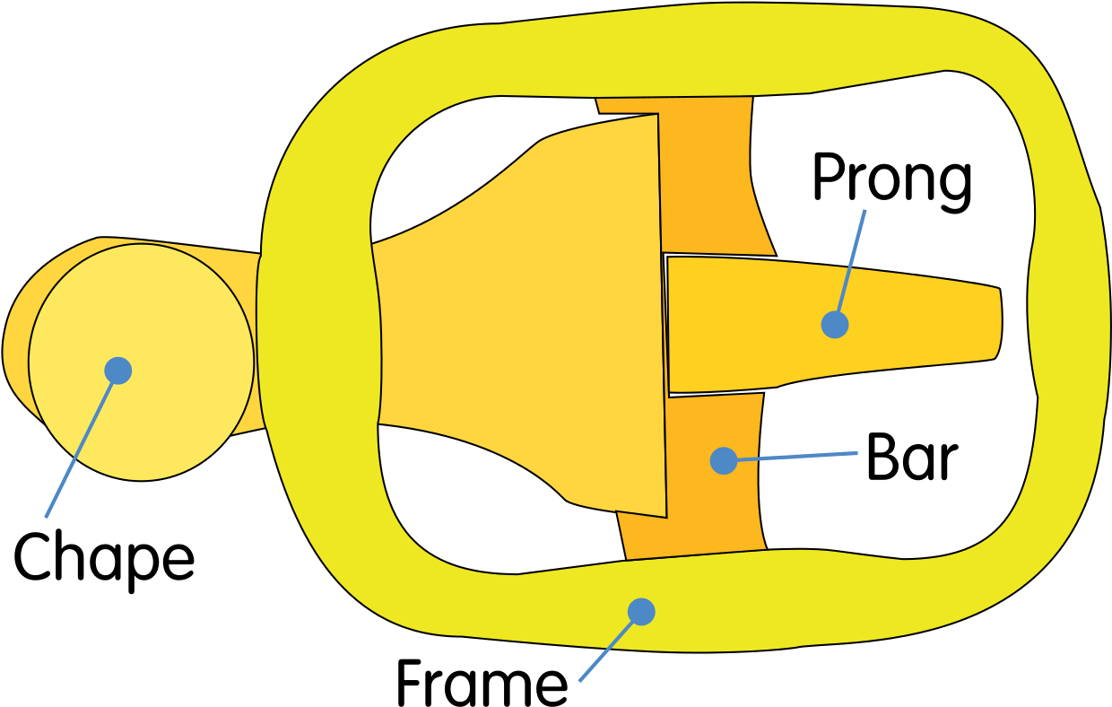 Buckle Showing Various Parts - Pieces Of A Belt Buckle Clipart (1280x828), Png Download