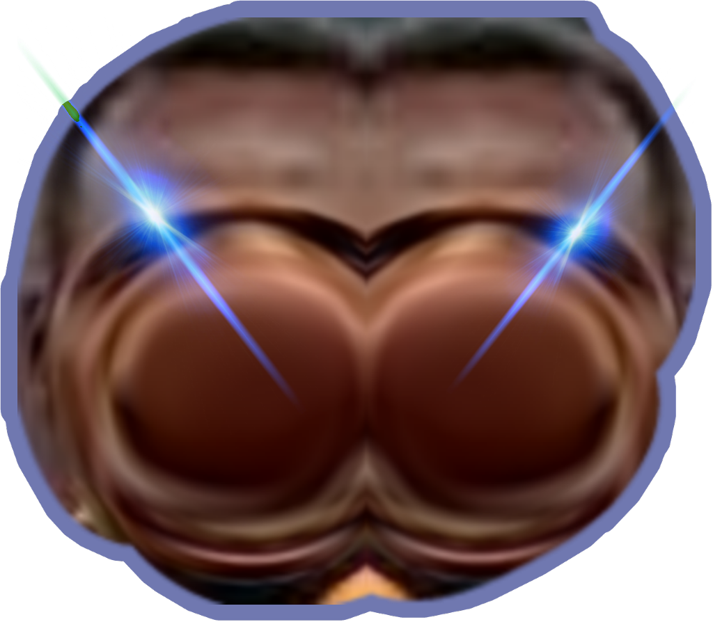 Usain Bolt Png Clipart (1024x894), Png Download