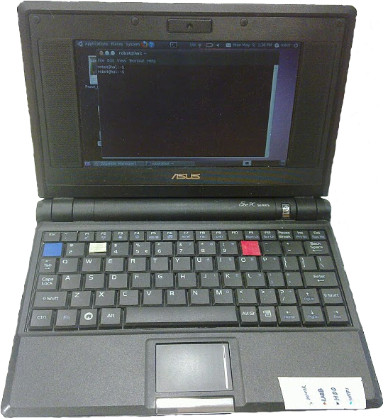 Asus Clipart (540x589), Png Download