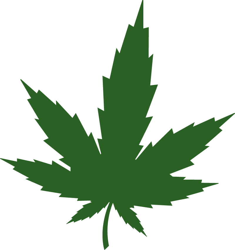 Categories - High Res Pot Leaf Clipart (800x850), Png Download