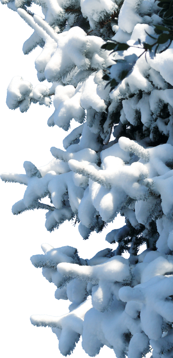 Snow Clipart (582x1200), Png Download