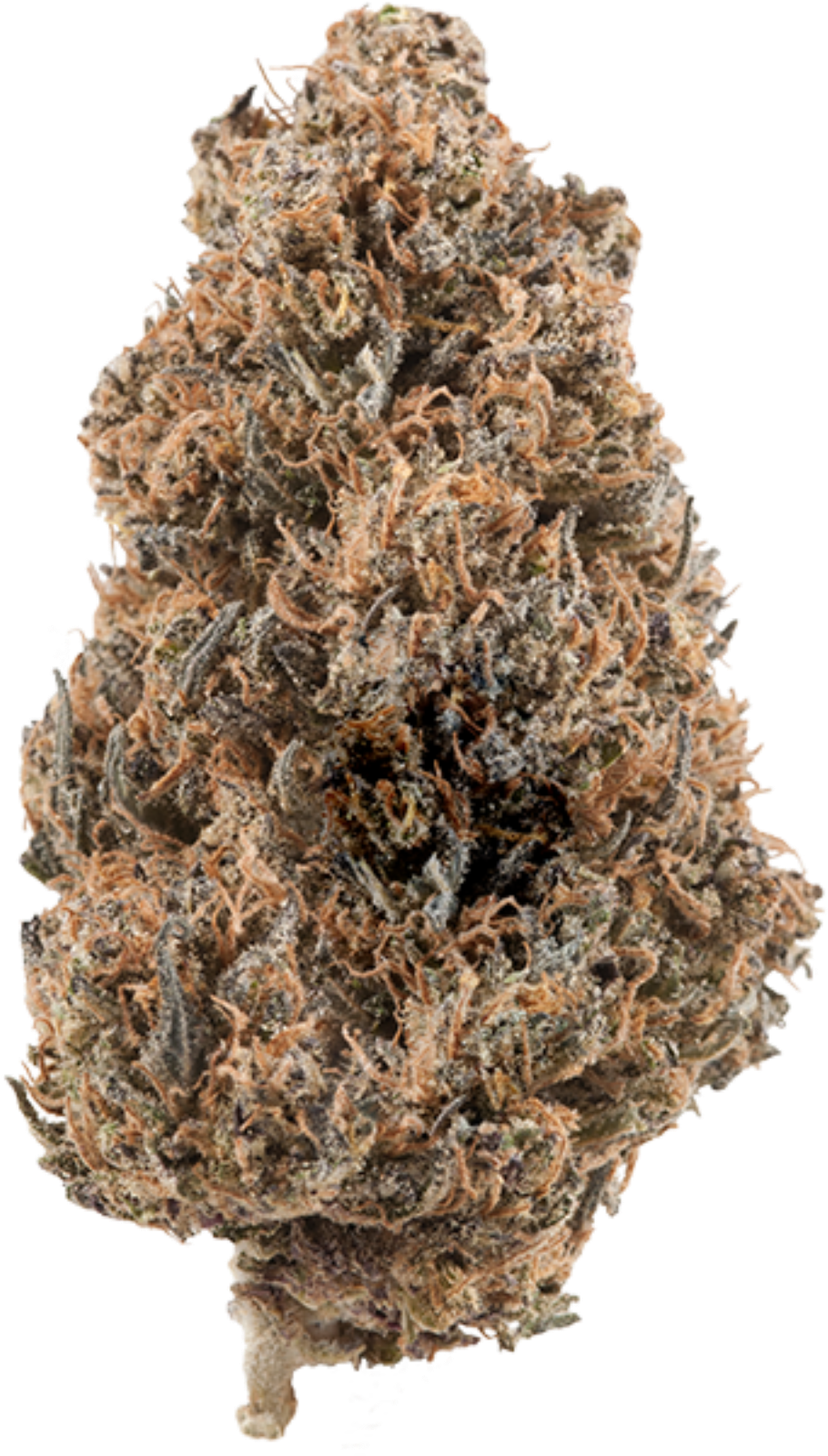 Yerba Buena Blue Dragon Desert Frost Reviews - Christmas Tree Clipart (1600x1600), Png Download