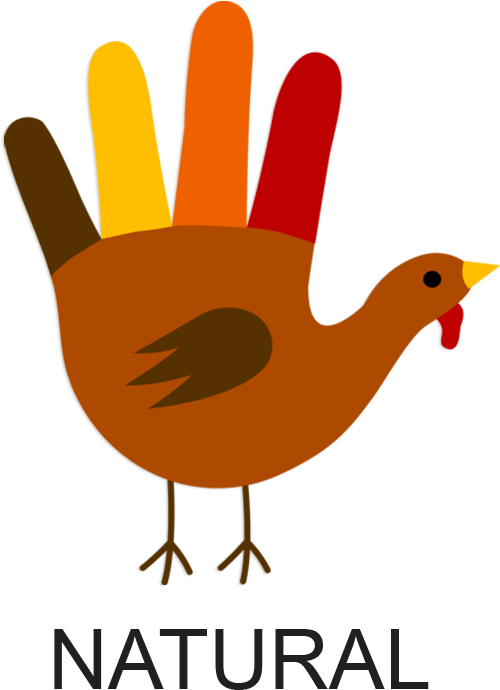 Turkey-natural - Turkey Made Out Of A Hand Clipart (654x786), Png Download