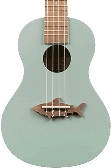 Makala Shark Clipart (620x620), Png Download