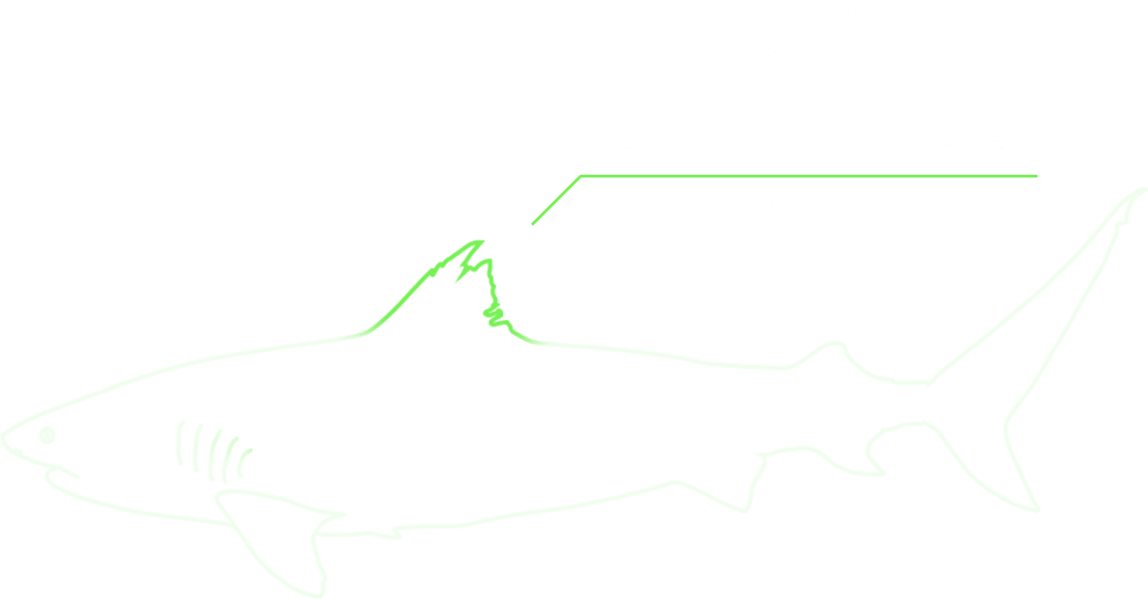 ＋ - Cat Fish Clipart (1849x941), Png Download