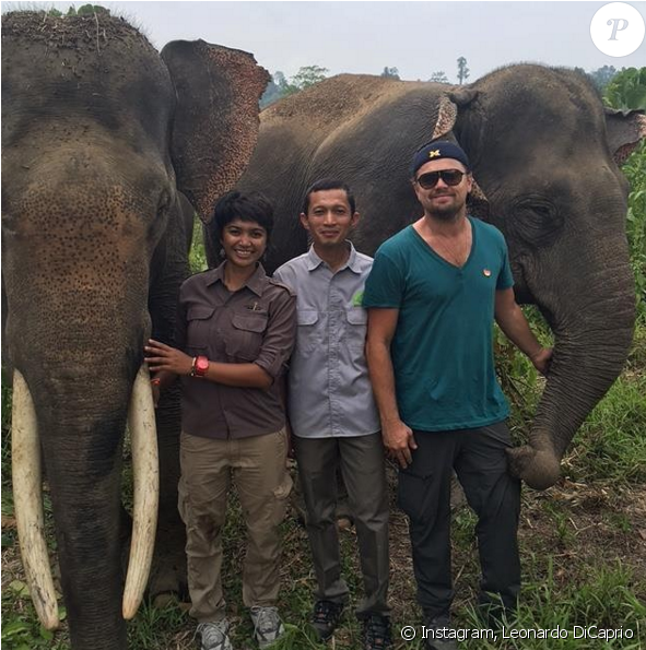 Leonardo Dicaprio Sur L'île De Sumatra Pour La Défense - Leonardo Dicaprio With Animals Clipart (950x594), Png Download