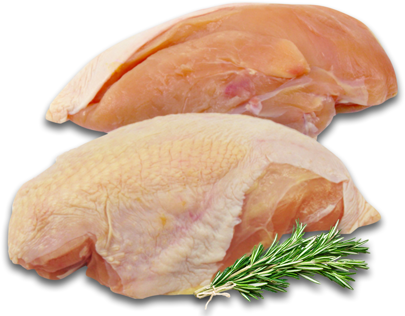 Pressed Duck Clipart (850x650), Png Download