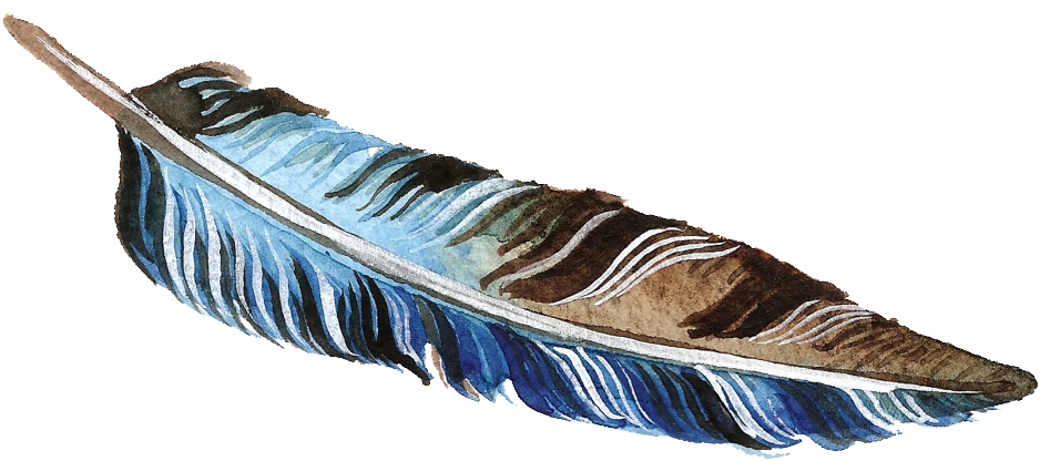 Brown And Blue Feather Transparent Decorative Clipart (938x416), Png Download