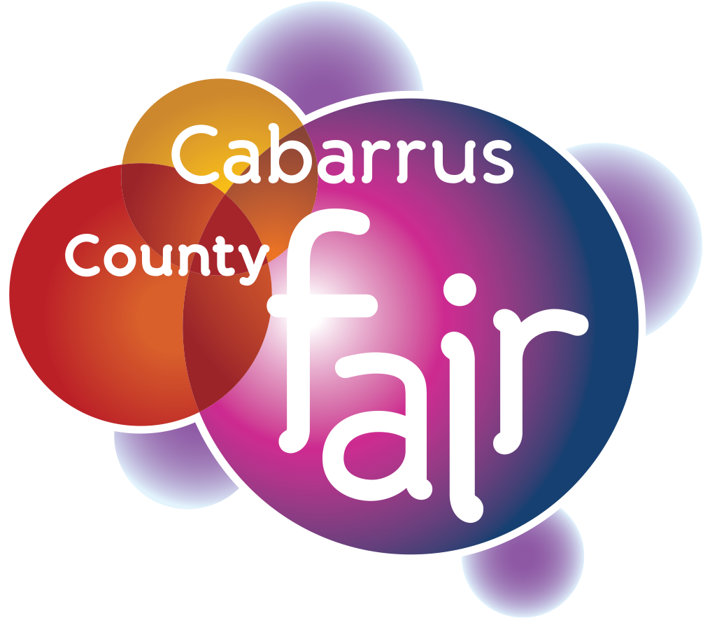 Circle Clipart (1200x1050), Png Download