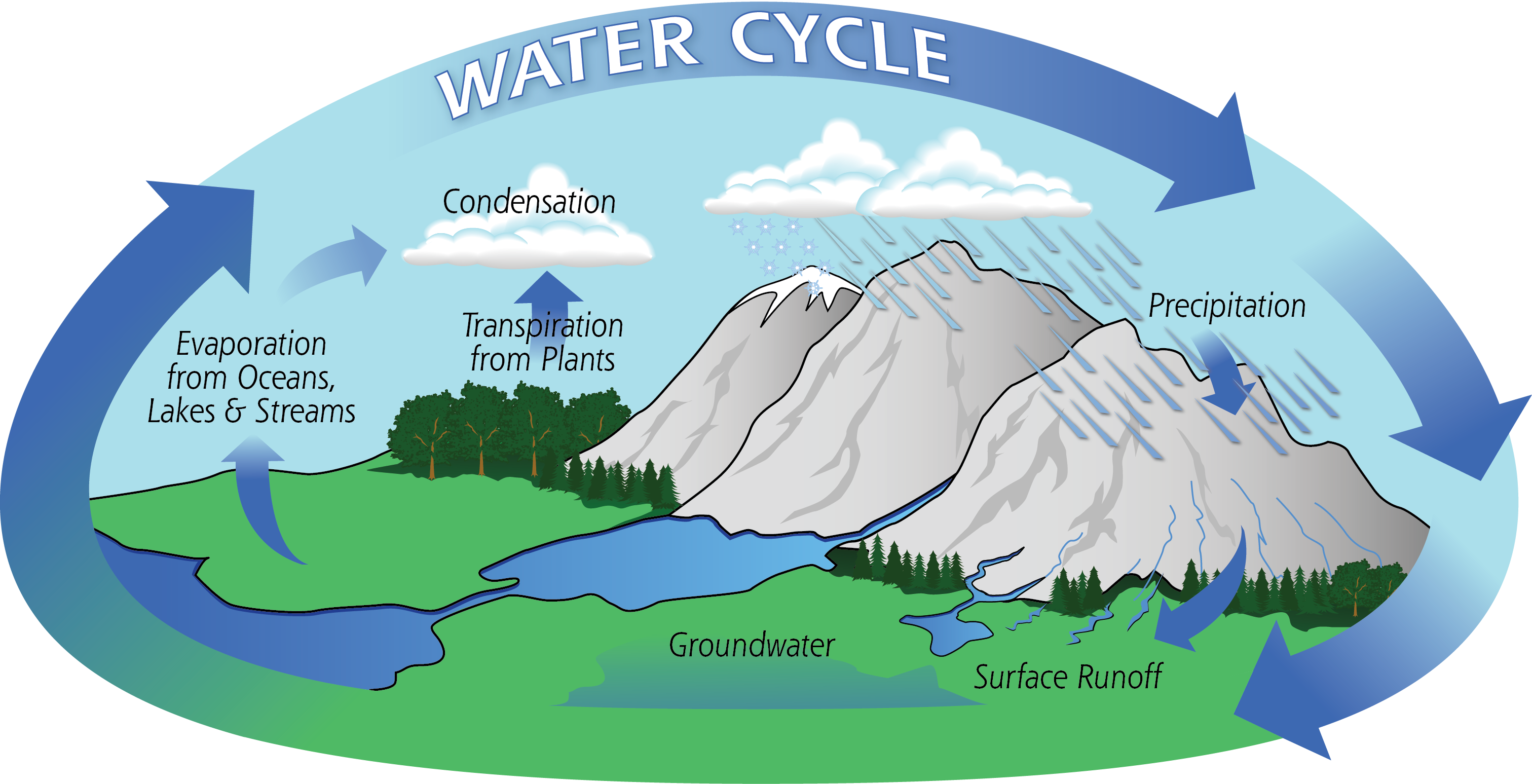 Water Cycle For Class 4 Clipart (3023x1547), Png Download