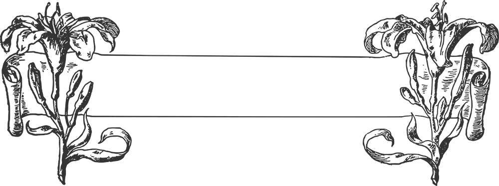 Png - Banner Png Bw Clipart (1000x373), Png Download