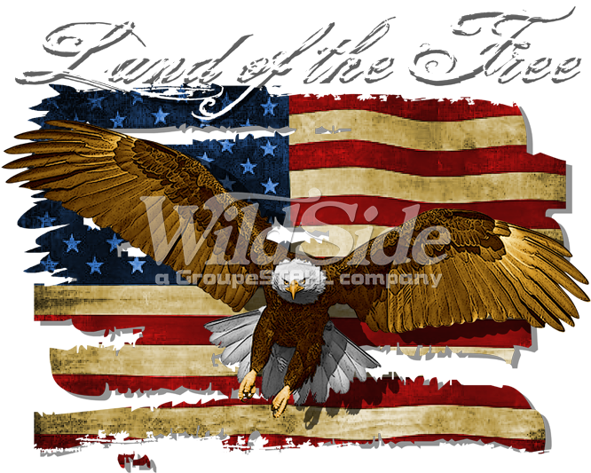 Land Of The Free - Bald Eagle Clipart (675x675), Png Download
