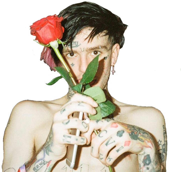 Download Sticker Lil Peep Lil Peep Rose Lil Peep With Rose Clipart