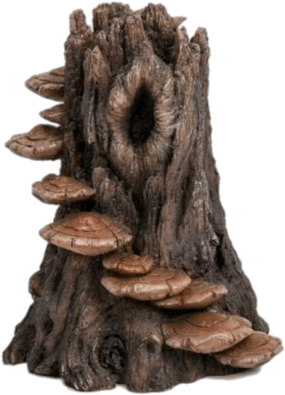 Download - Tree Trunk Clipart (900x900), Png Download