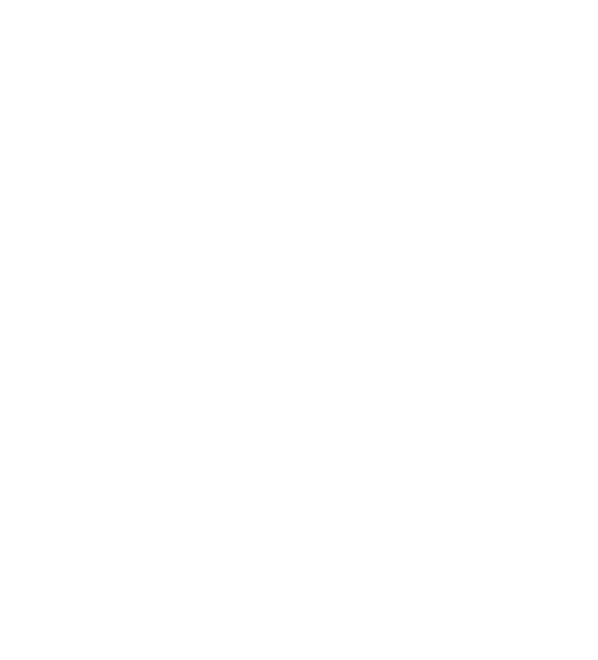 Polish White Eagle Clip Art - Png Download (540x596), Png Download