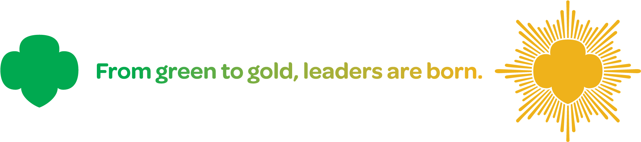 Girl Scout Higher Awards Clipart (2092x485), Png Download