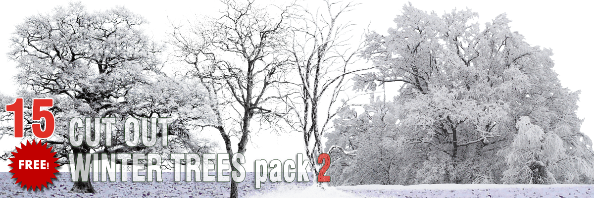 Free Winter Trees Png Pack - Tree Winter Png Free Clipart (1200x400), Png Download