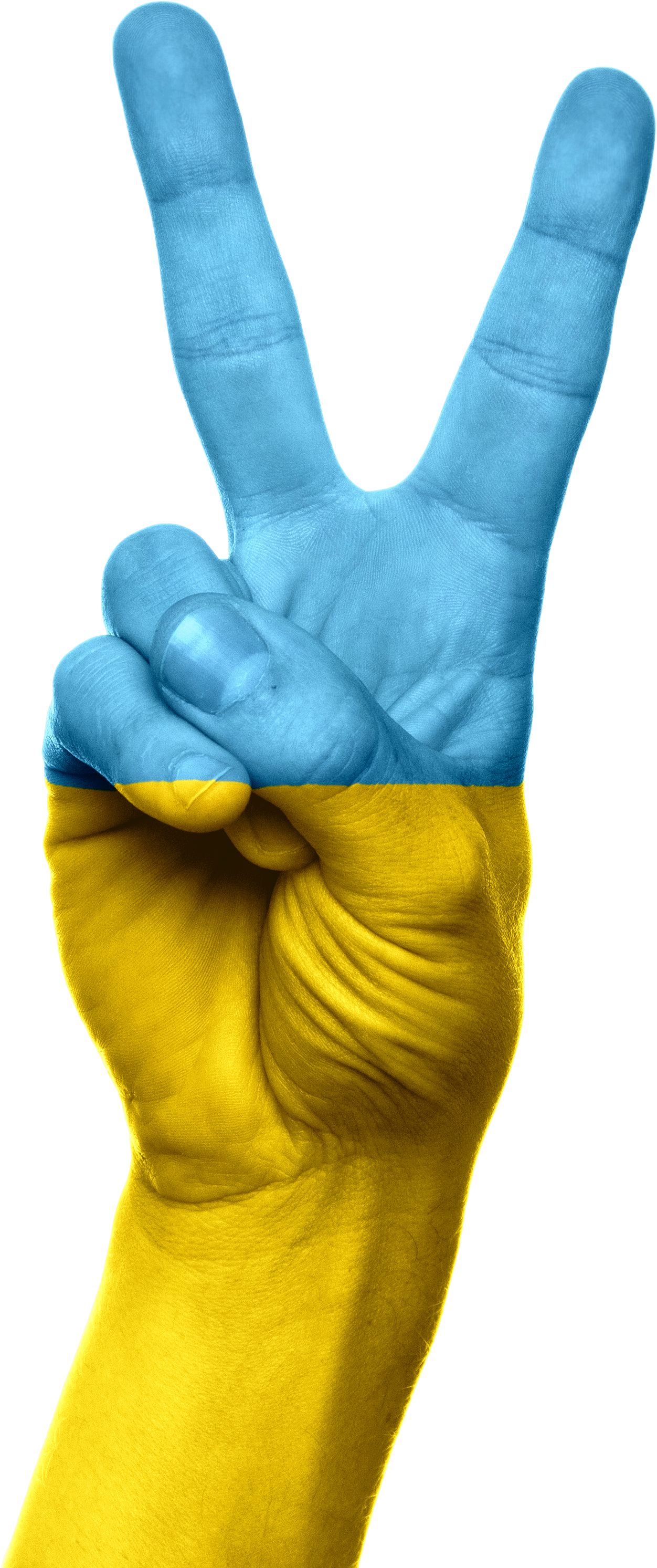 Ukraine Flag Hand Peace Victory 643633 - Ukraine Flag On Hand Clipart (1338x3000), Png Download