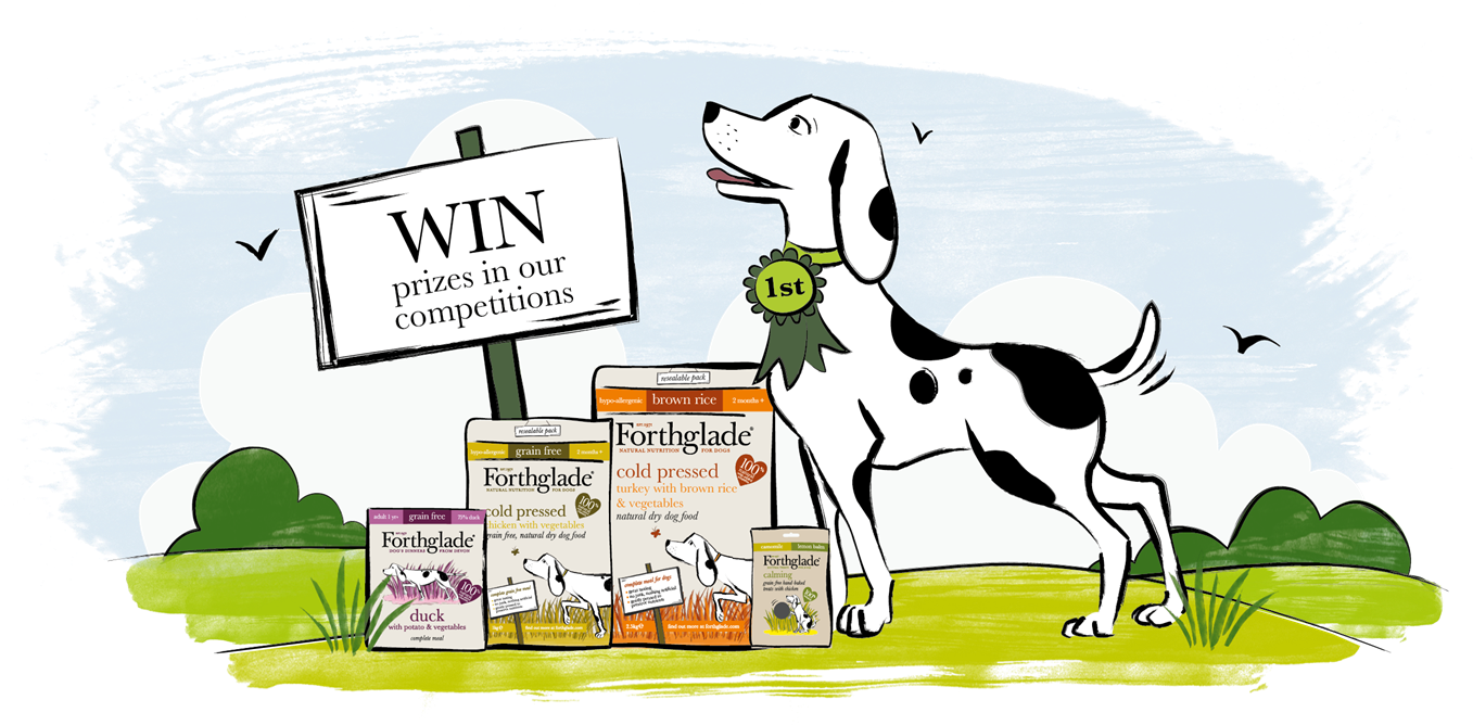 6168 - Cartoon Clipart (1362x675), Png Download