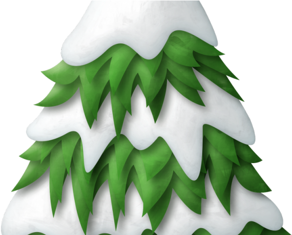 Pine Clipart Snow Tree - Winter Tree Clipart Png Transparent Png (640x480), Png Download